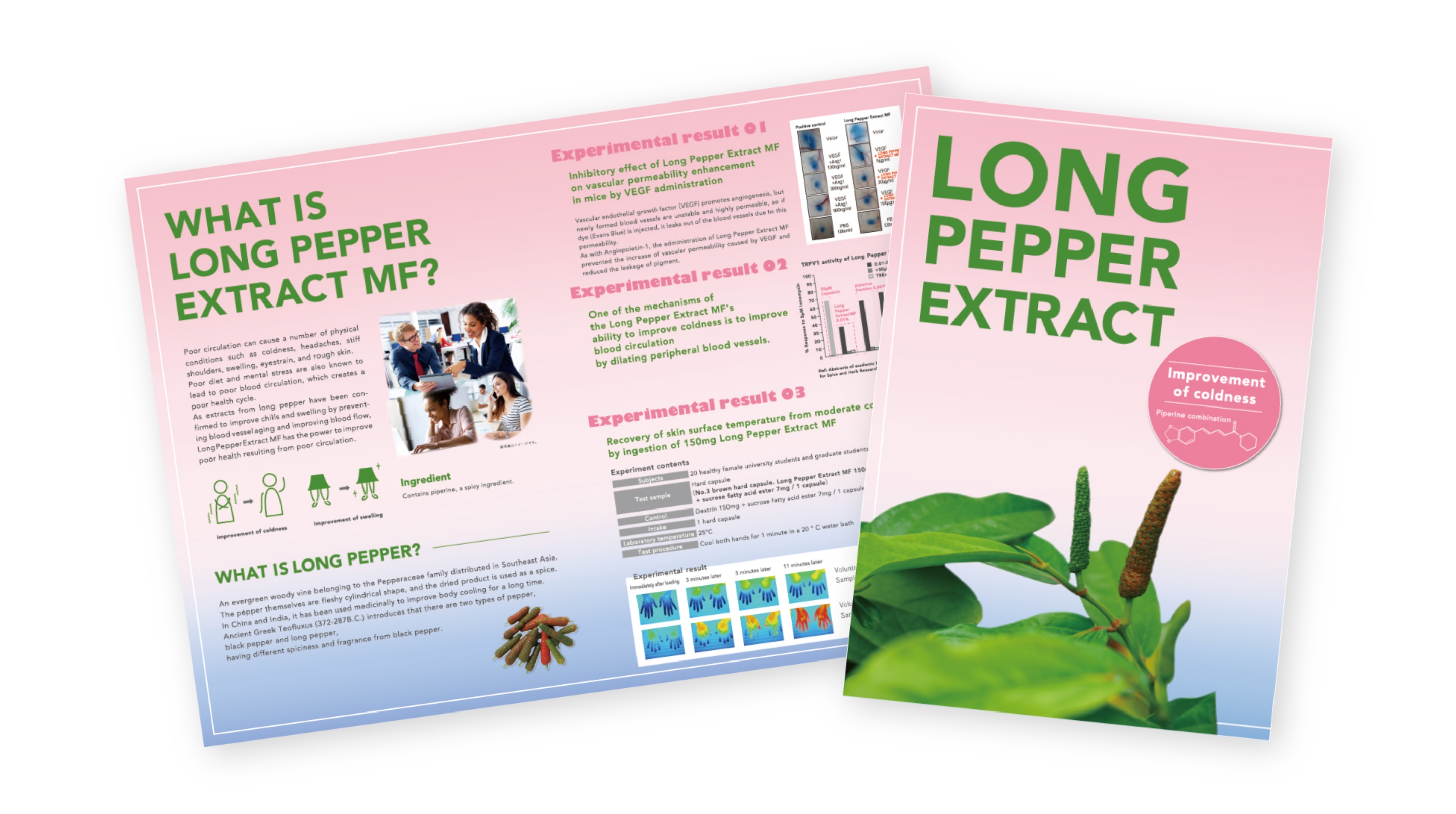 丸善製薬 株式会社 - longpepper