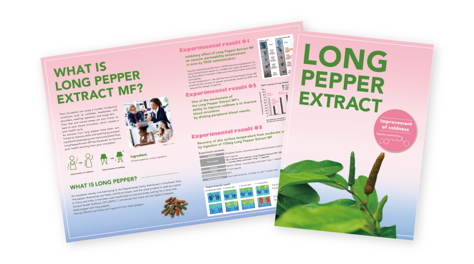 丸善製薬 株式会社 - longpepper